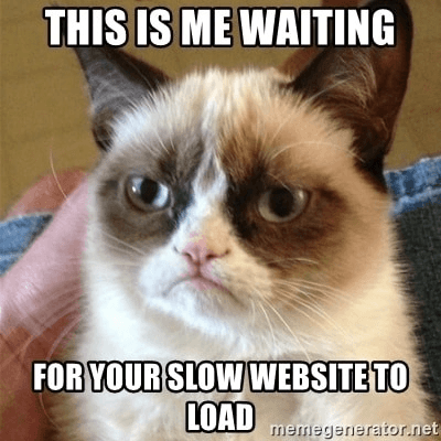 meme about load speed. Angry cat because of slow website load time