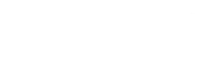Insight Logo
